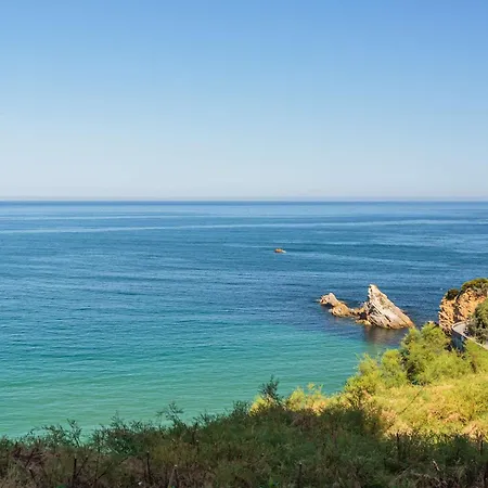 Agreable T2 A Deux Pas Du Phare - 4 Pers. - Fr-1-3-641 * Biarritz